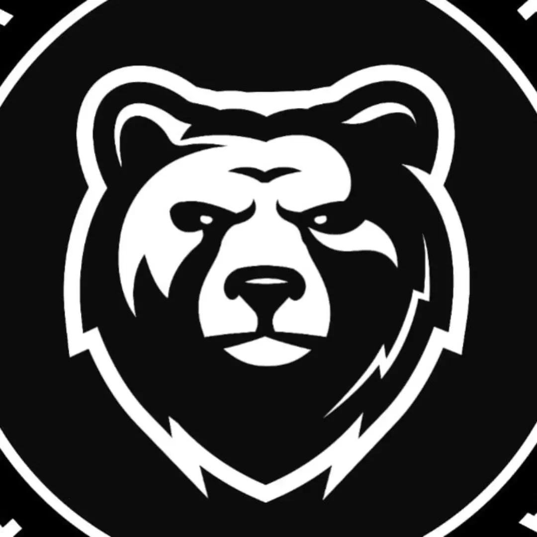 Black Bear