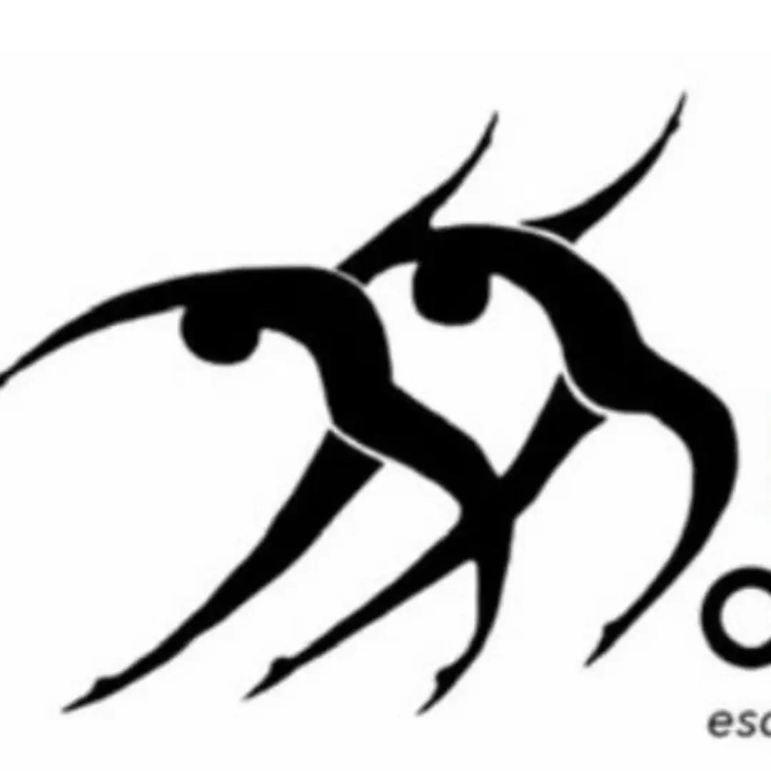 Arte em Movimento